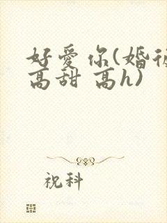好爱你(婚后 高甜 高h)