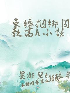 束缚捆绑囚禁调教高h小说