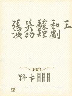 张集骏和王格格演的短剧