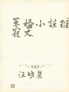 军婚小说推荐甜宠文