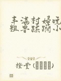 丰满村妇晚上被粗鲁蹂躏小说