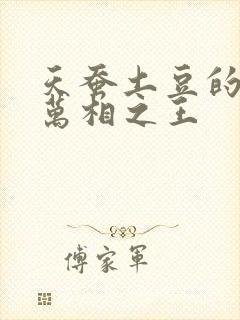 天蚕土豆的小说万相之王