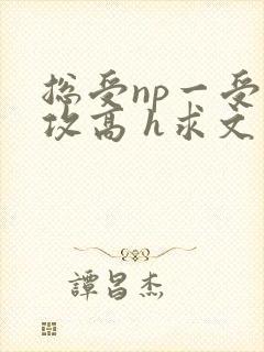 总受np一受多攻高 h求文