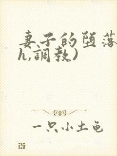 妻子的堕落(高h,调教)