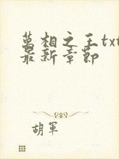 万相之王txt最新章节