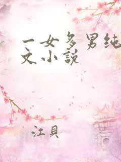 一女多男纯肉辣文小说