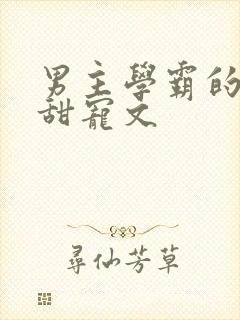 男主学霸的校园甜宠文