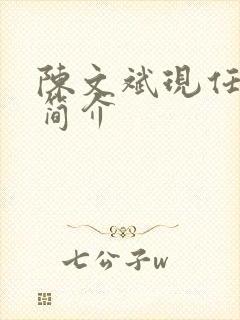 陈文斌现任职务简介