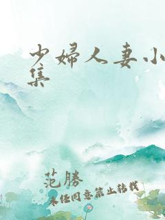 少妇人妻小说合集