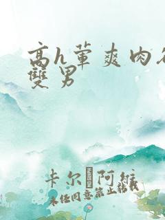 高h荤爽肉欲文双男