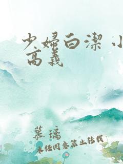 少妇白洁 小说 高义
