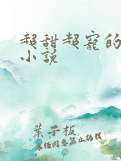 超甜超宠的现代小说