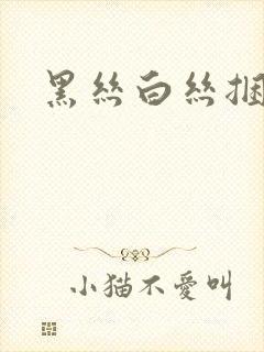 黑丝白丝捆绑