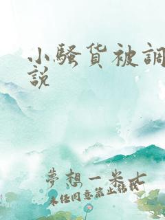 小骚货被调教小说