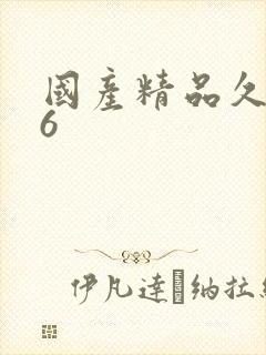 国产精品久久久6