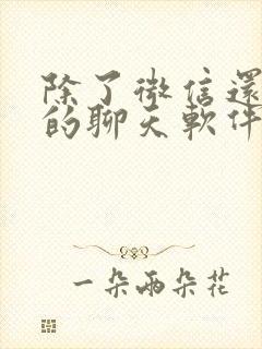 除了微信还有别的聊天软件吗