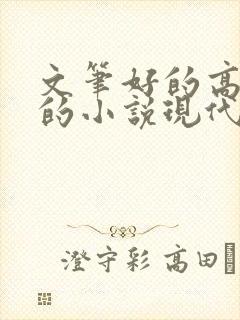 文笔好的高质量的小说现代言情推荐