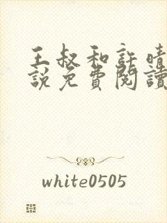 王叔和许晴的小说免费阅读无弹窗