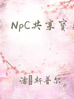 NpC共享宝贝