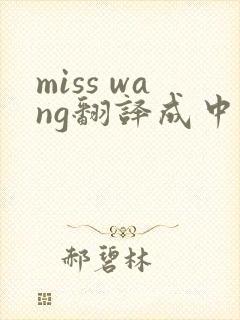 miss wang翻译成中文