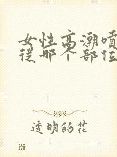 女性高潮喷水是从哪个部位出来的