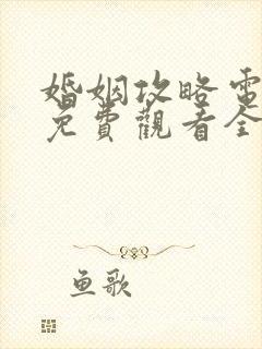 婚姻攻略电视剧免费观看全集高清版