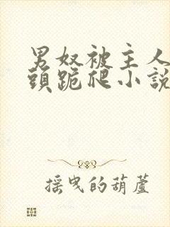 男奴被主人拽奶头跪爬小说