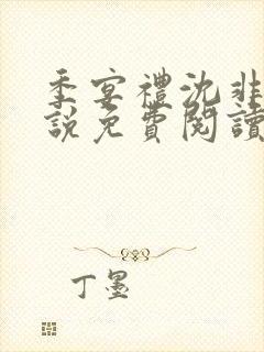 季宴礼沈非璃小说免费阅读最新章节