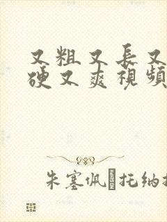 又粗又长又大又硬又爽视频