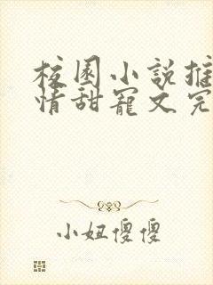 校园小说推荐言情甜宠文完结