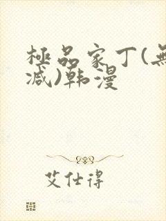 极品家丁(无删减)韩漫