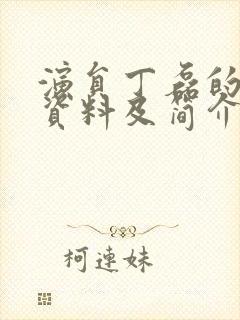 演员丁磊的个人资料及简介