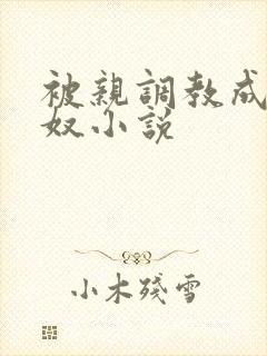 被亲调教成她的奴小说