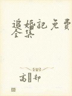 追婚记免费观看全集