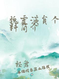 魏震演员个人资料简介