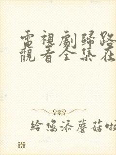 电视剧归路免费观看全集在线播放