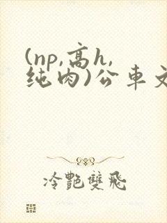 (np,高h,纯肉)公车文