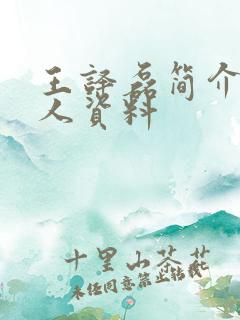 王译磊简介 个人资料