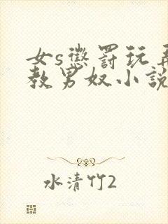 女s惩罚玩弄调教男奴小说