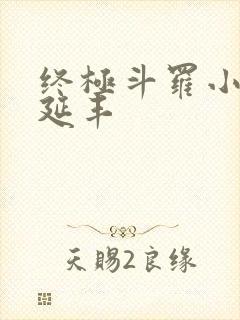 终极斗罗小说王延丰