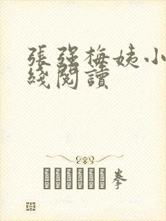 张强梅姨小说在线阅读