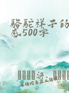 骆驼祥子的读后感500字