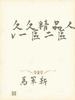 久久精品人妻av一区二区