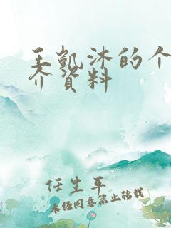 王凯沐的个人简介资料