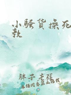 小骚货操死你调教