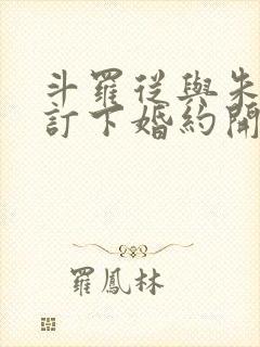 斗罗从与朱竹清订下婚约开始