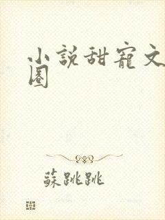 小说甜宠文娱乐圈