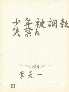 少年被调教爽到失禁h