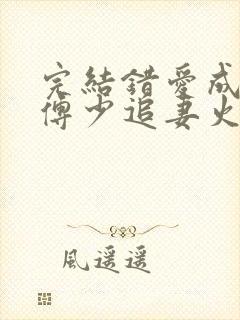 完结错爱成瘾:傅少追妻火葬场 小说