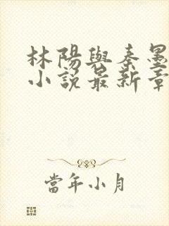 林阳与秦墨浓的小说最新章节